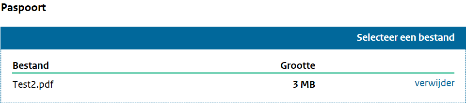 Testdocument geüpload in online aanvraag